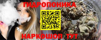 гашик Ливны